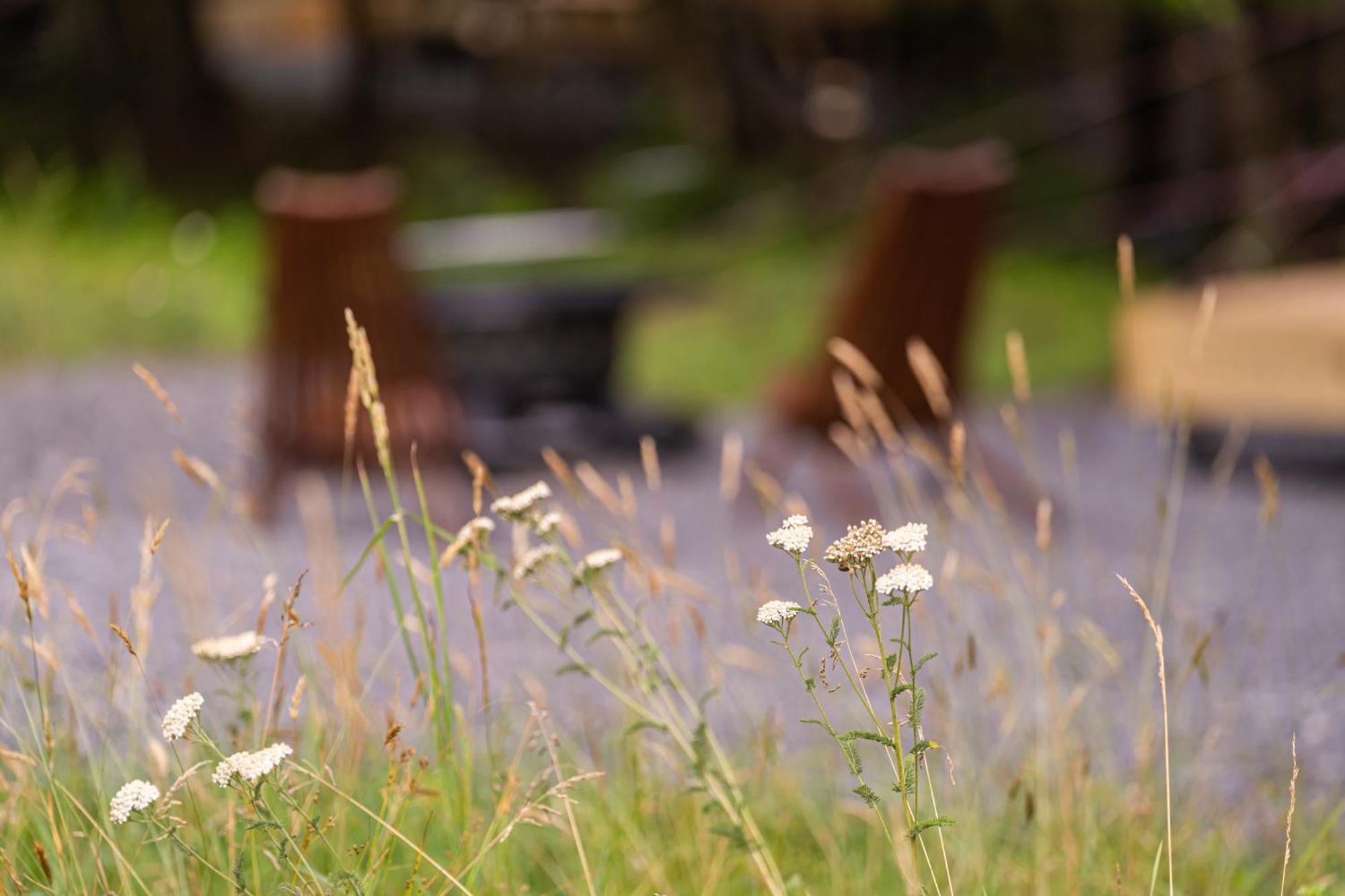 Firefly Ridge Luxury Retreat Hotel Great Cacapon Bagian luar foto